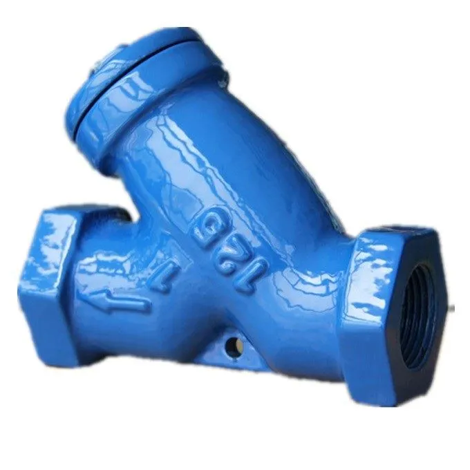 Ductile Cast Iron Strainer-4